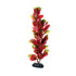Underwater Treasures Red/Green Bacopa - 12"  