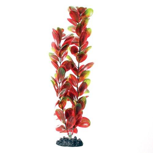 Underwater Treasures Red/Green Bacopa - 16"  