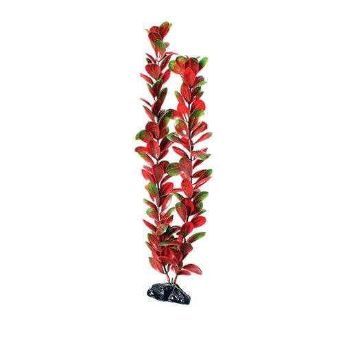 Underwater Treasures Red/Green Bacopa - 20