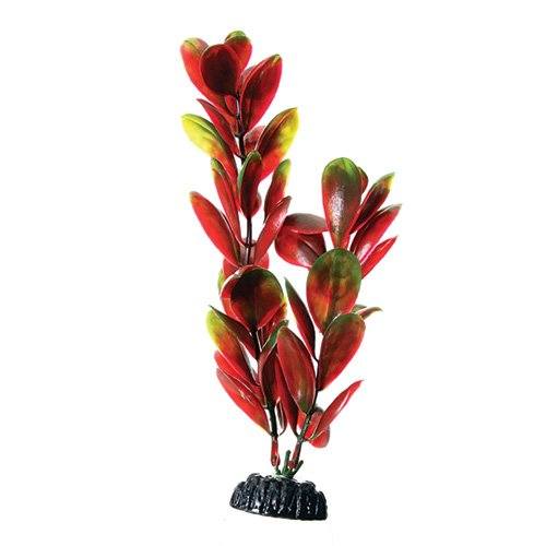 Underwater Treasures Red/Green Bacopa - 8