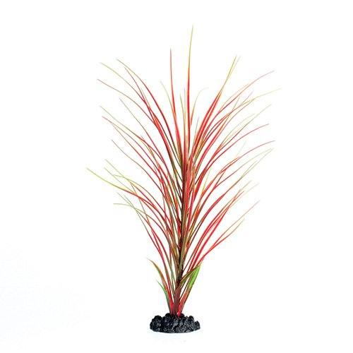 Underwater Treasures Red/Green Hairgrass - 16"  