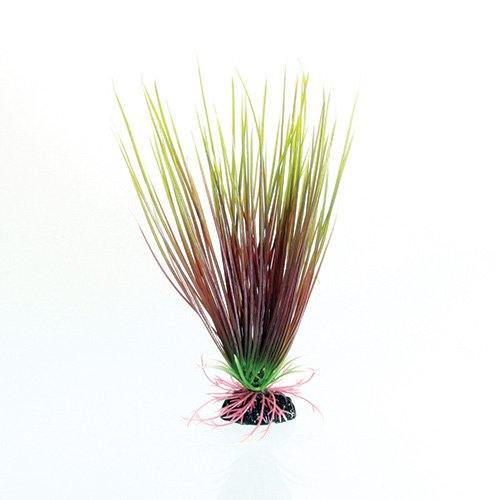 Underwater Treasures Red/Green Hairgrass - 8"
