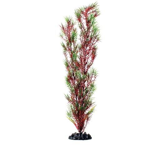 Underwater Treasures Red/Green Springeri - 16