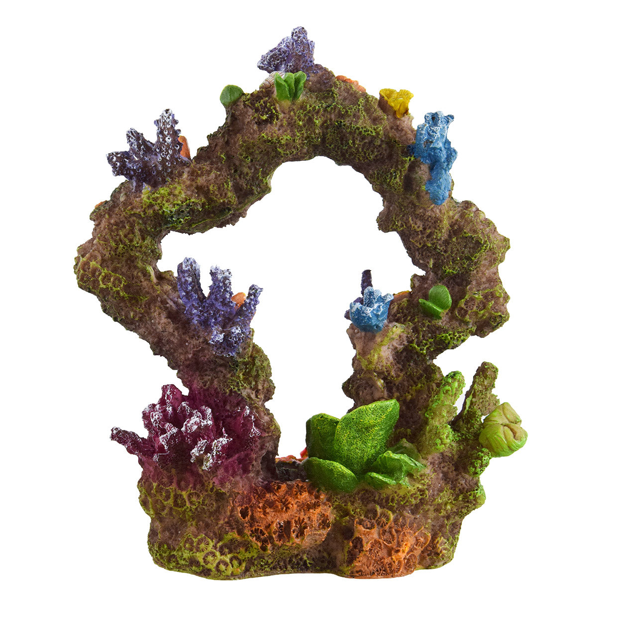 Underwater Treasures Reef Archway  