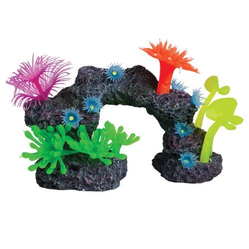 Underwater Treasures Reef Scenery - Style C - Small  