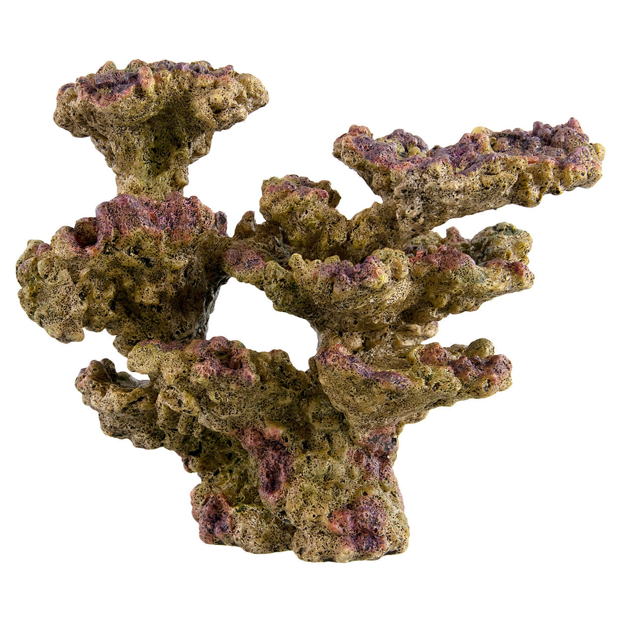 Underwater Treasures Reef Shelf  