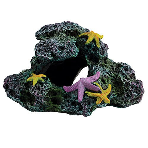 Underwater Treasures Reef Starfish Cave