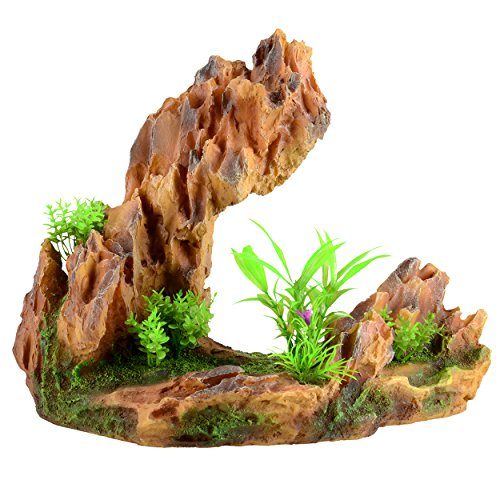 Underwater Treasures Rock Hill - Style C  