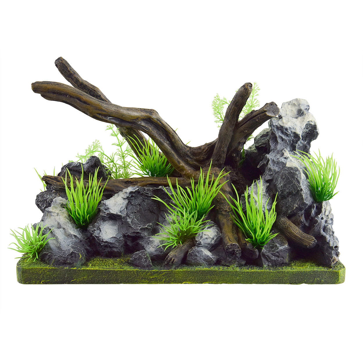 Underwater Treasures Rocky Landscape  