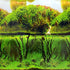 Underwater Treasures Rolling Hills/Mystic Forest Reversible Background - 20" - Sold by the Foot - 50 Feet  