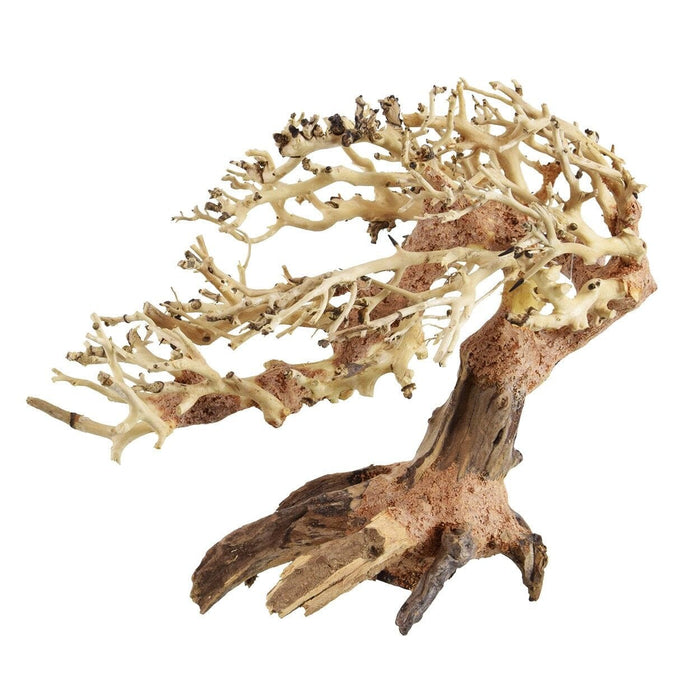 Underwater Treasures Romantic Bonsai Wood - Small
