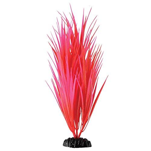 Underwater Treasures Rose Nile Grass - 11.5