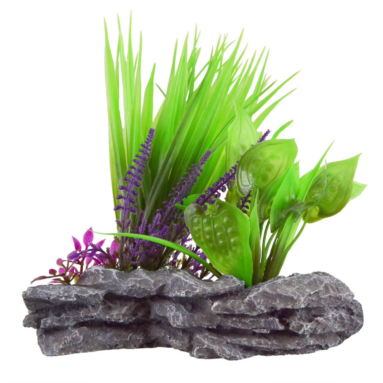 Underwater Treasures Sagittaria Mound  