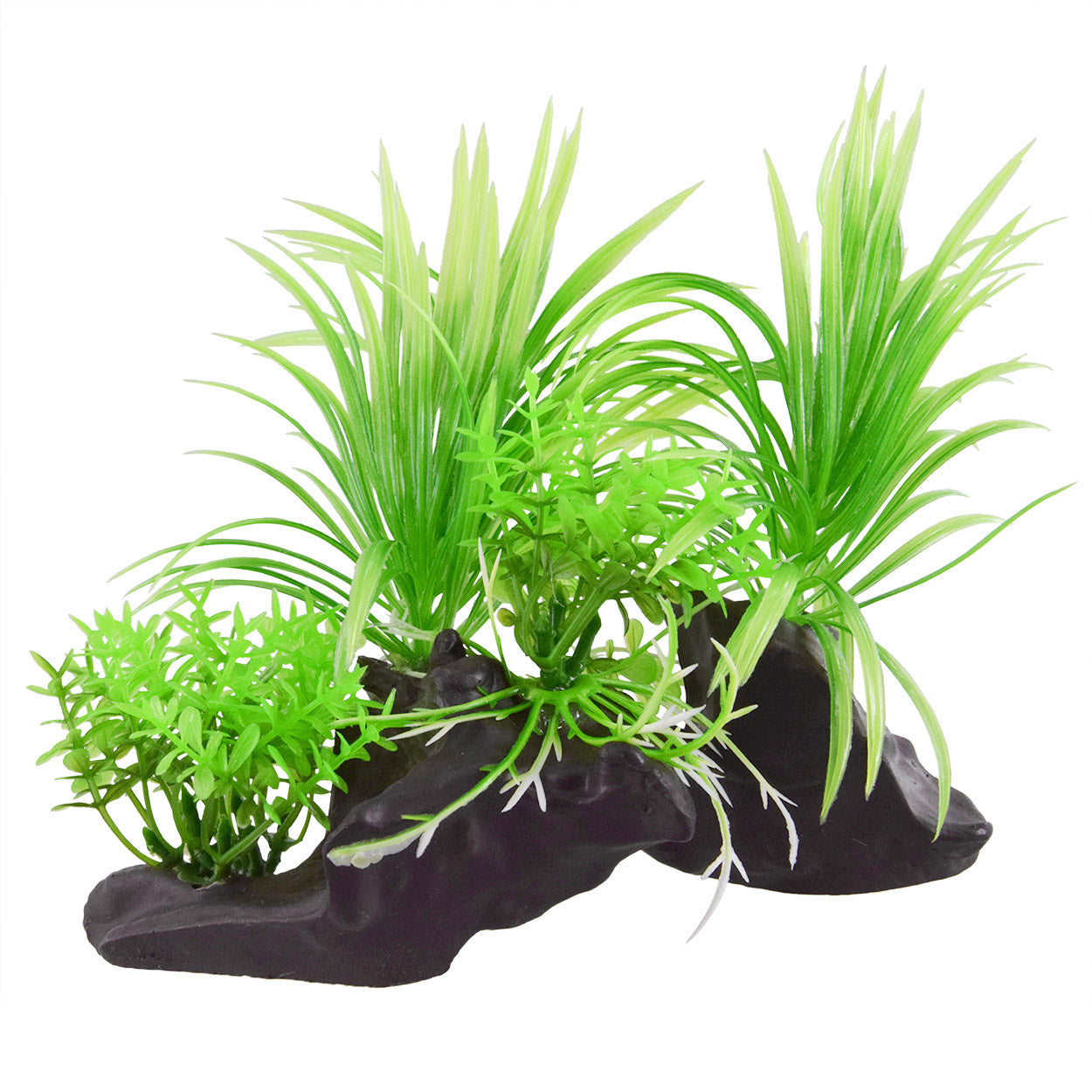 Underwater Treasures Sagittaria Twins  