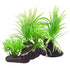 Underwater Treasures Sagittaria Twins  