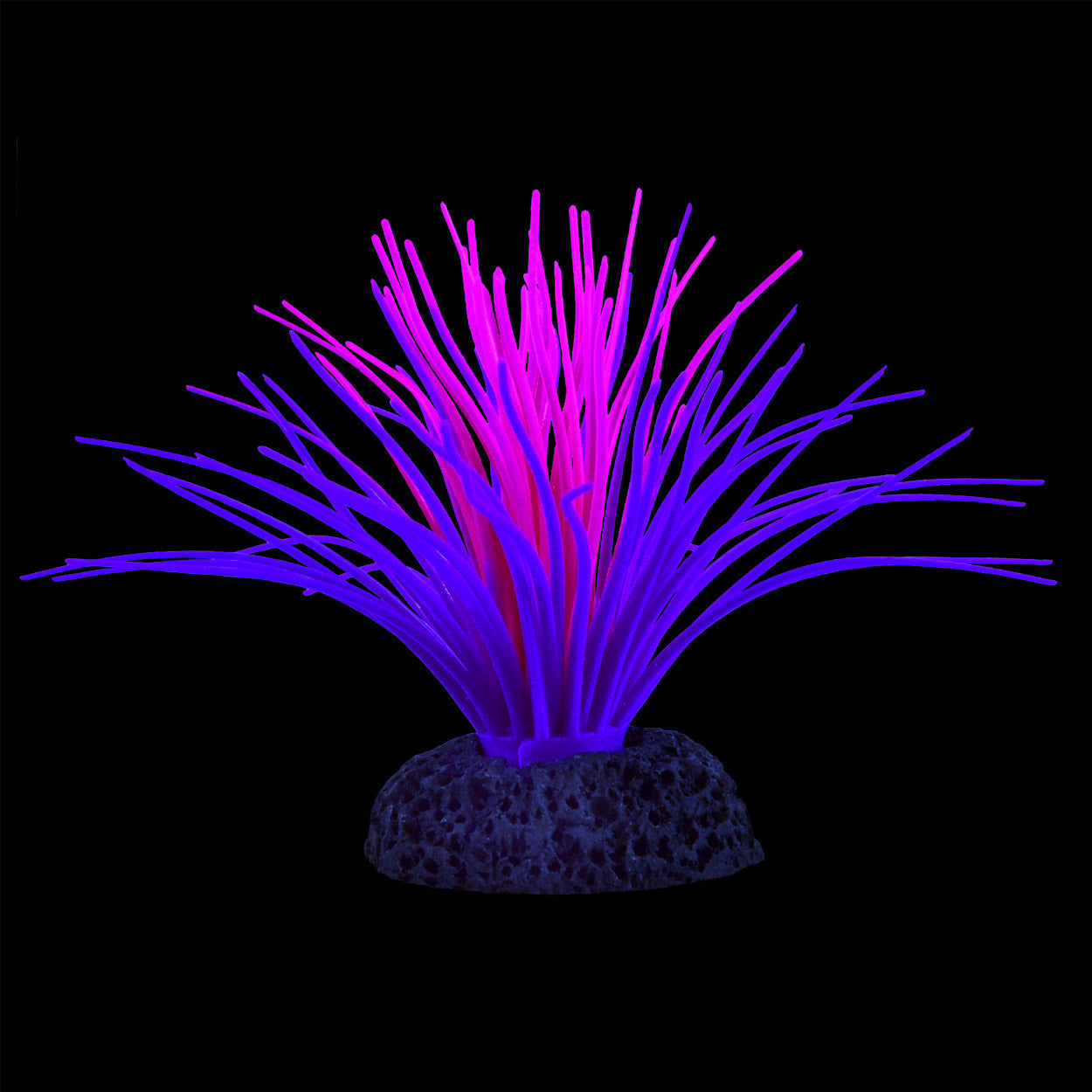 Underwater Treasures Sea Anemone - Pink/Purple  