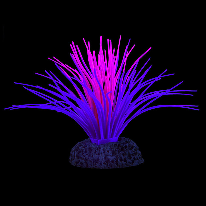 Underwater Treasures Sea Anemone - Pink/Purple