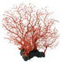 Underwater Treasures Sea Fan Coral - Red  