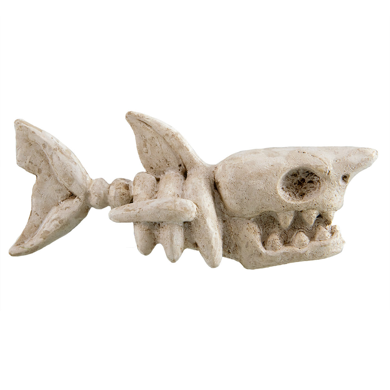Underwater Treasures Shark Bones  