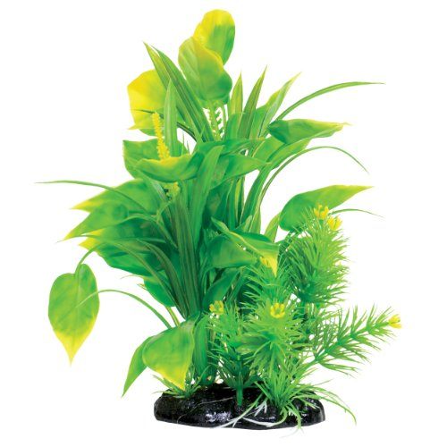 Underwater Treasures Spade Fern - 8.5"  