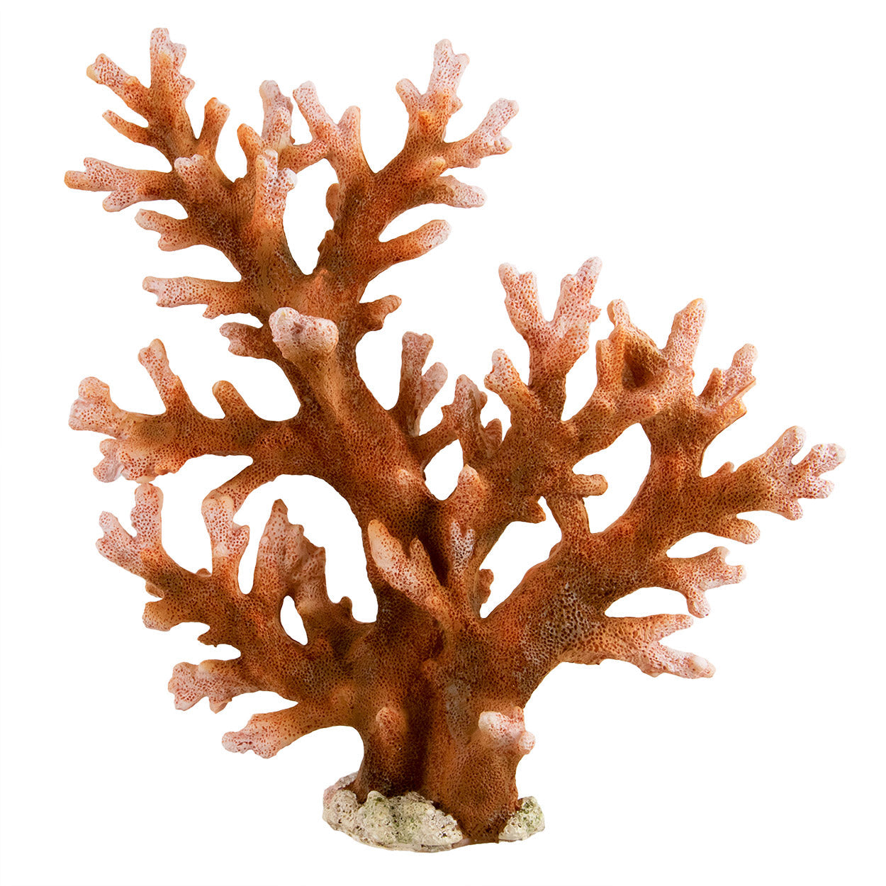 Underwater Treasures Staghorn - Large  