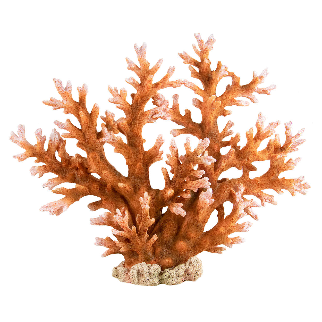 Underwater Treasures Staghorn - X-Large  