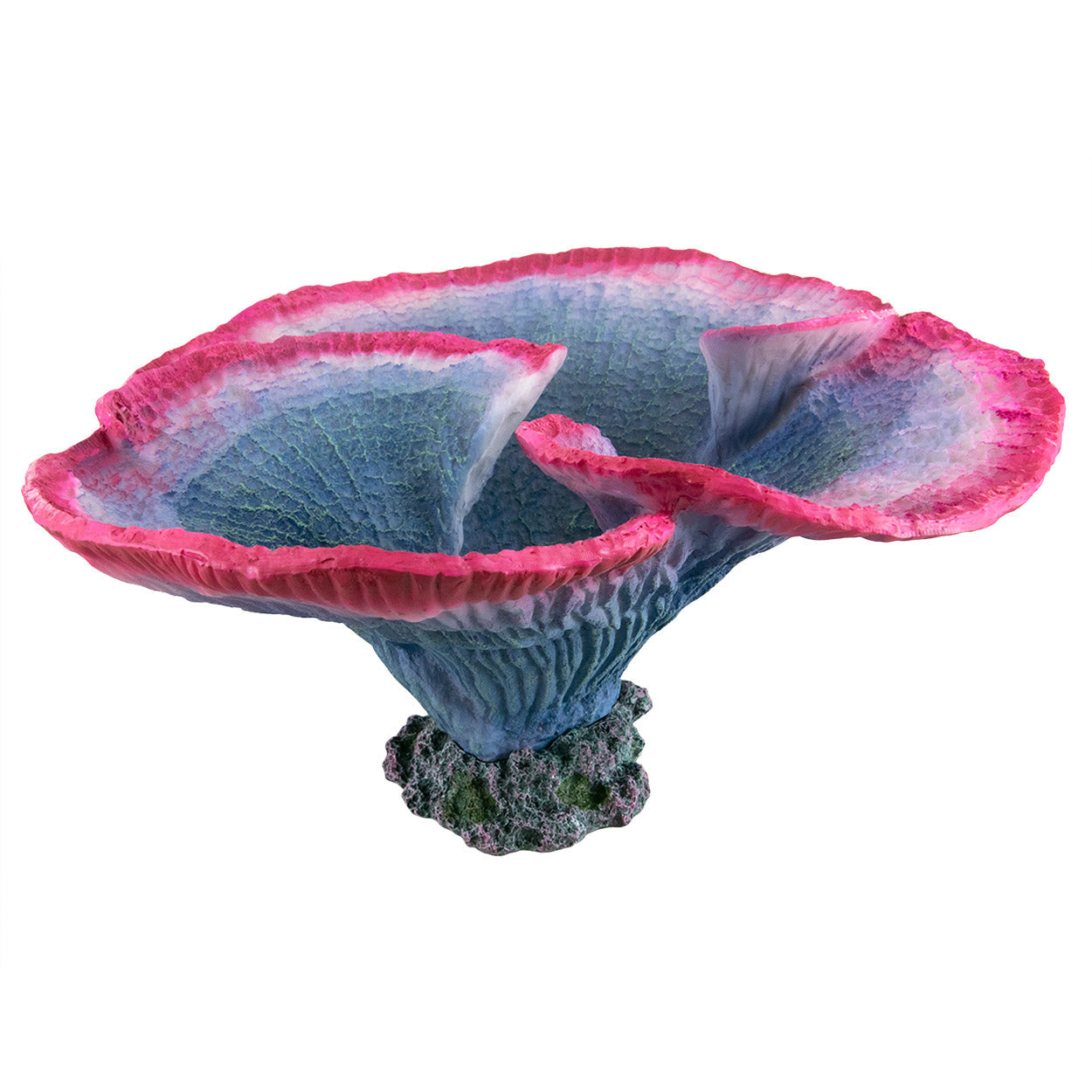 Underwater Treasures Table Coral - Pink/Blue  