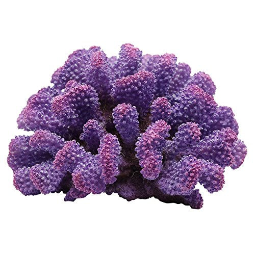 Underwater Treasures Toadstool Coral - Purple Prince  