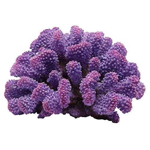Underwater Treasures Toadstool Coral - Purple Prince