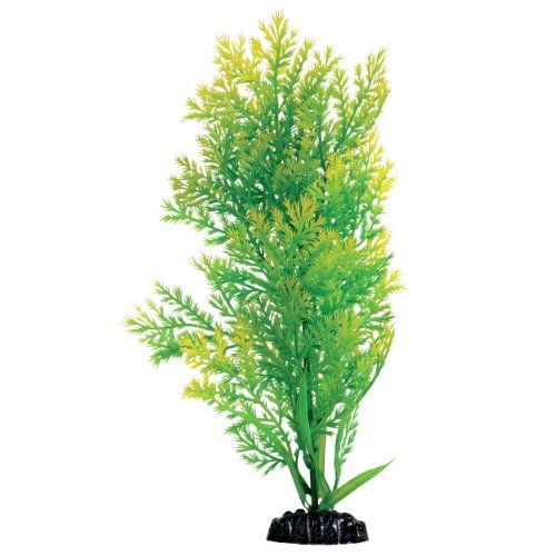 Underwater Treasures Water Violet - 12"  