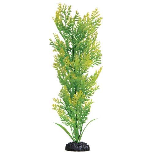 Underwater Treasures Water Violet - 16"  