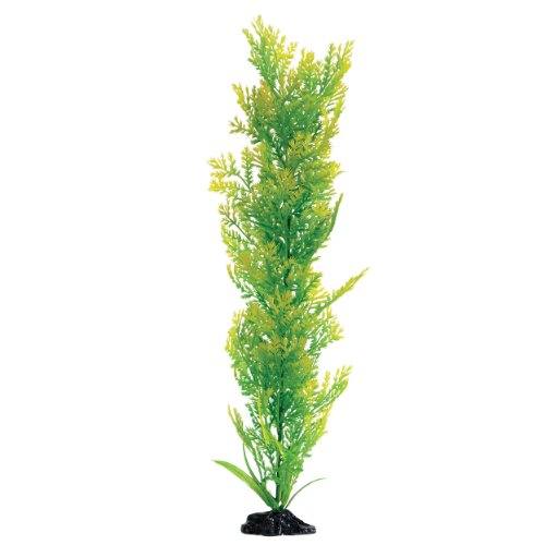 Underwater Treasures Water Violet - 20"  