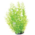 Underwater Treasures White Tipped Cardamine - 12"  