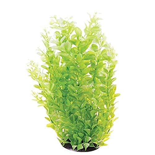 Underwater Treasures White Tipped Cardamine - 16