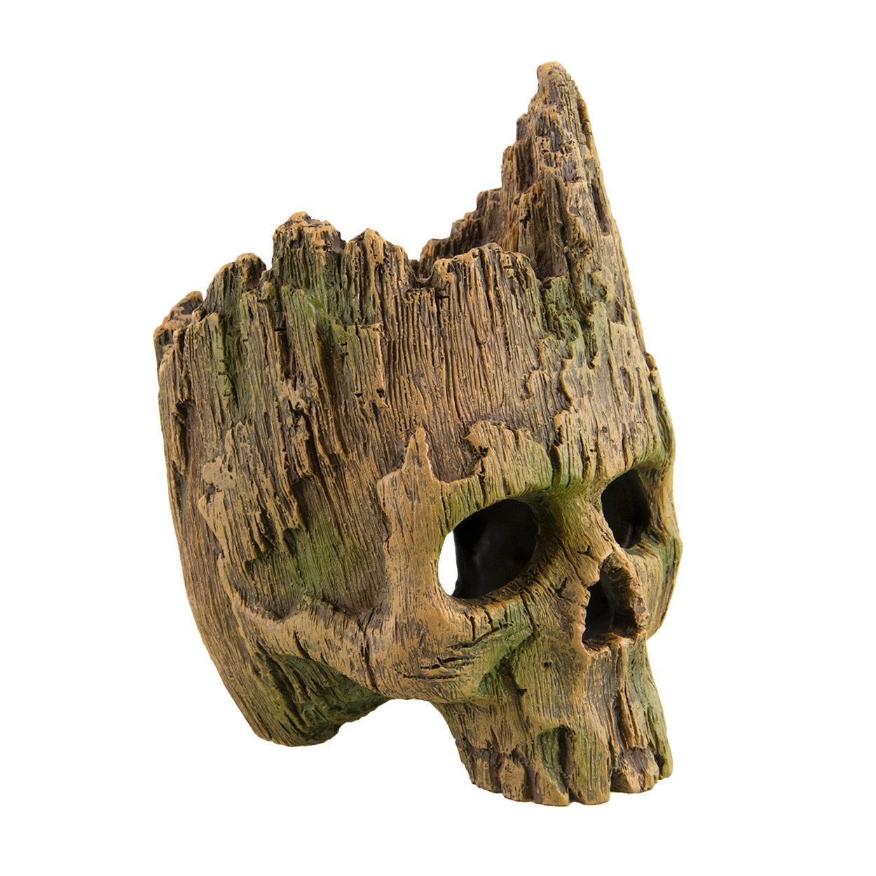 Underwater Treasures Wood Skull  