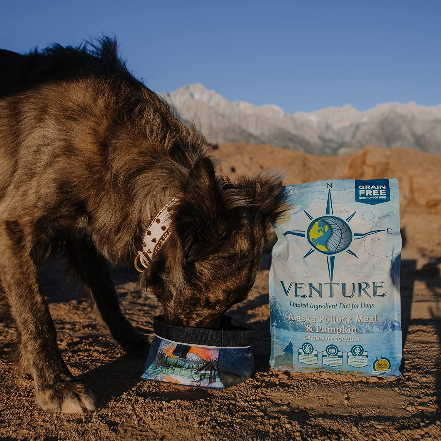 Venture Limited Ingredient Diet Grain-Free Dry Dog Food - Pollock/Pumpkin - 25 Lbs  