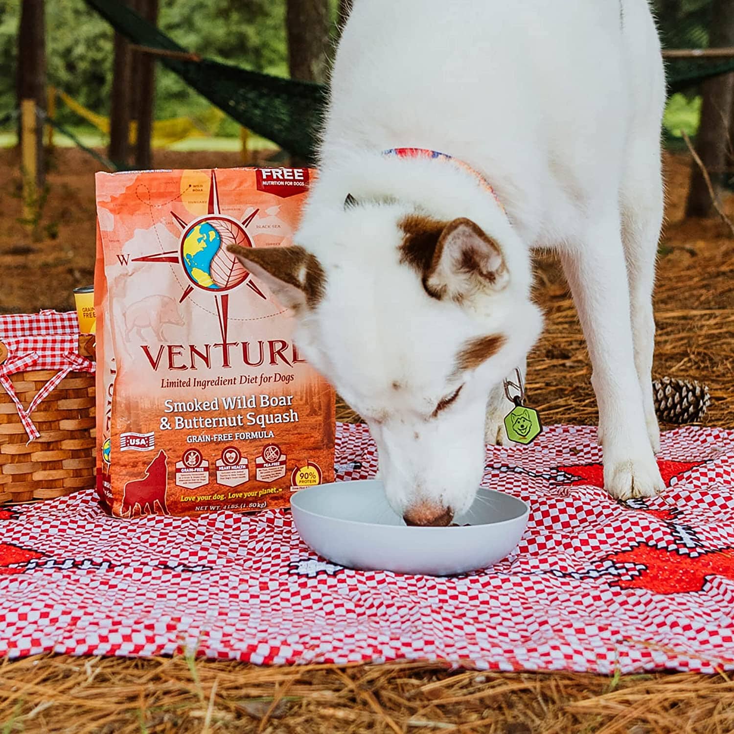 Venture Limited Ingredient Diet Grain-Free Dry Dog Food - Wild Boar - 12.5 Lbs  