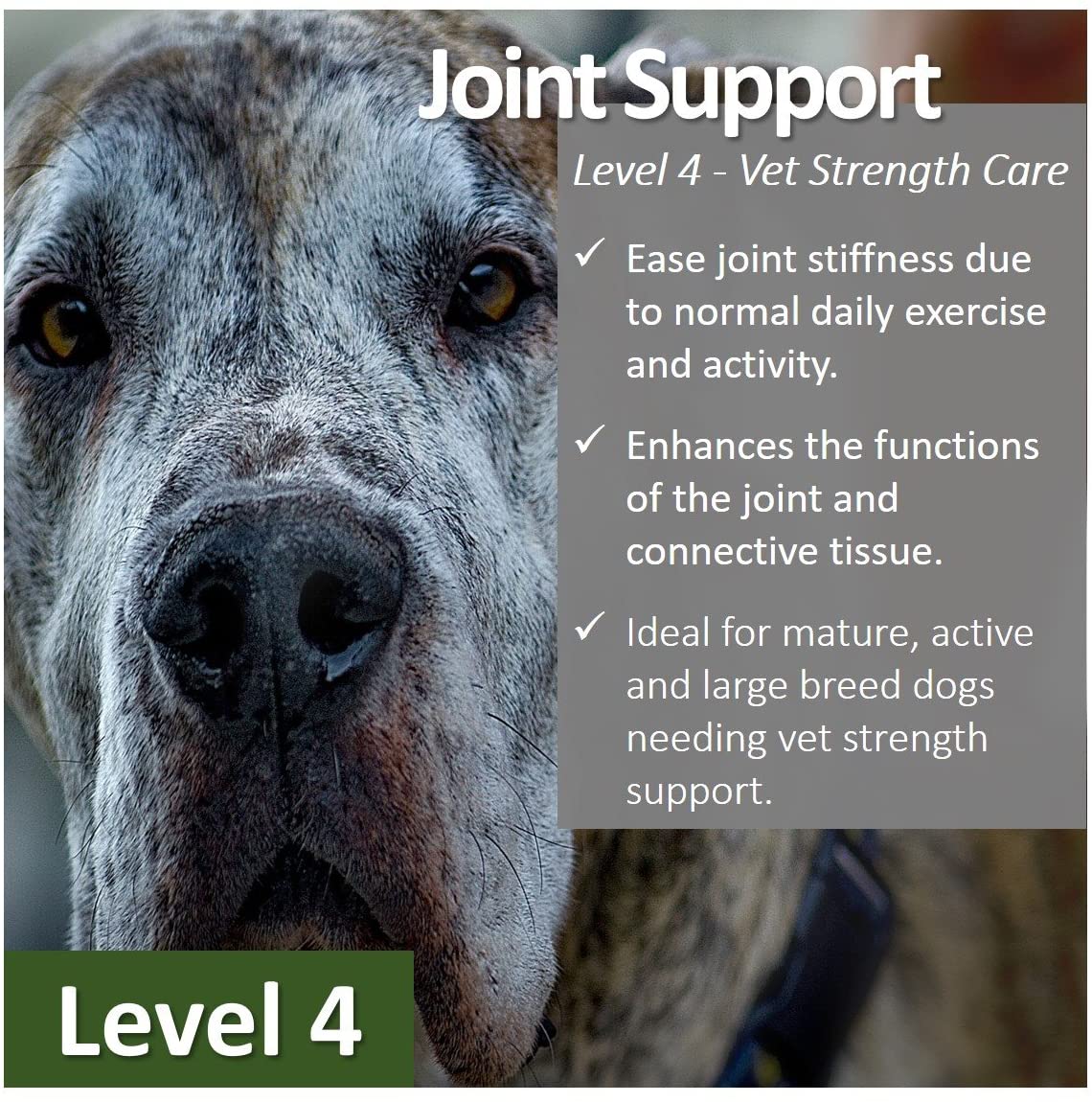 Vet Worthy Joint Support Level 4 Cat and Dog Supplement - 60 ct Tablets  