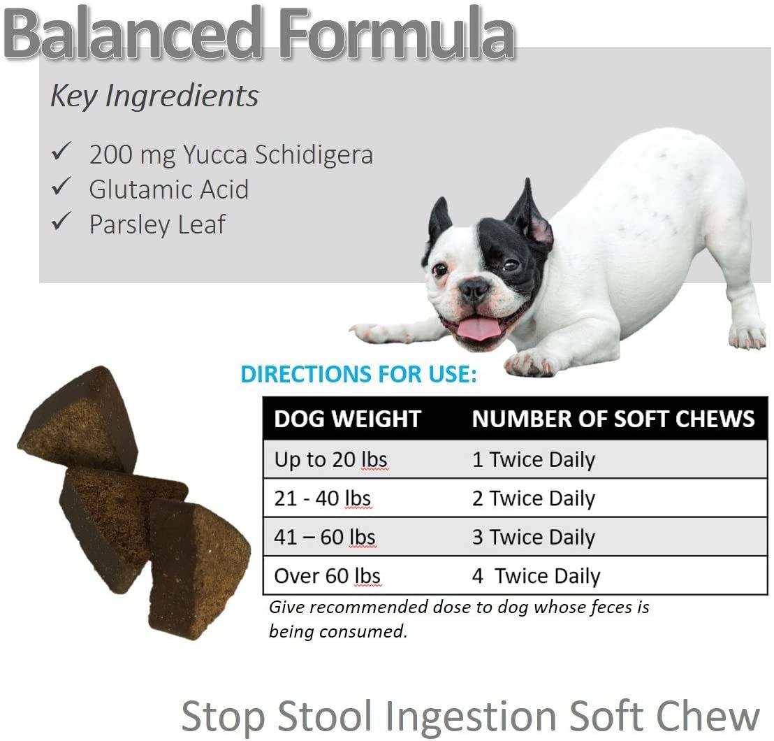 Vet Worthy Stop Stool Ingestion Soft Chew Cat and Dog Supplement - 30 ct Bottle  