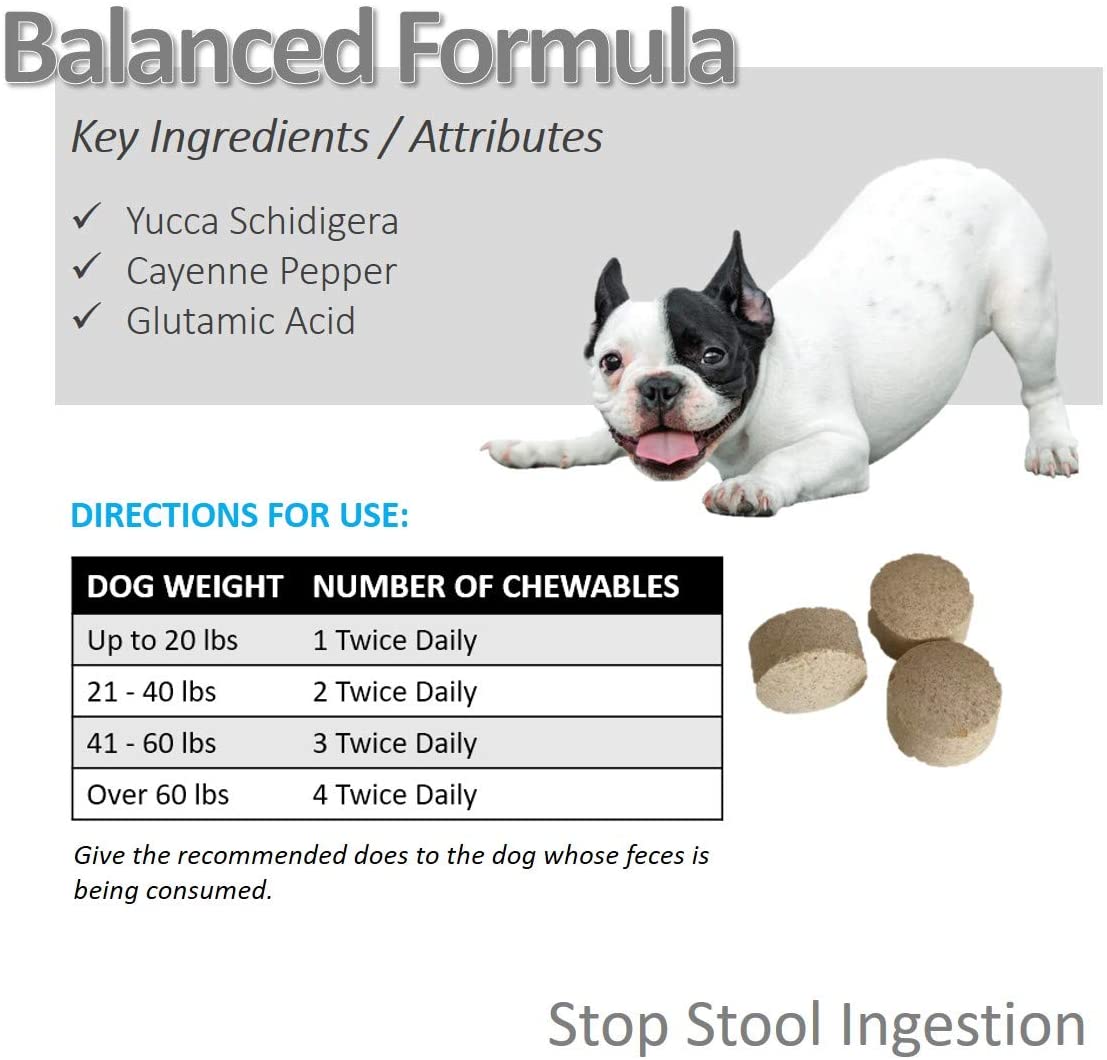 Vet Worthy Stop Stool Ingestion Tablet Cat and Dog Supplement - 120 Capsule Bottle  