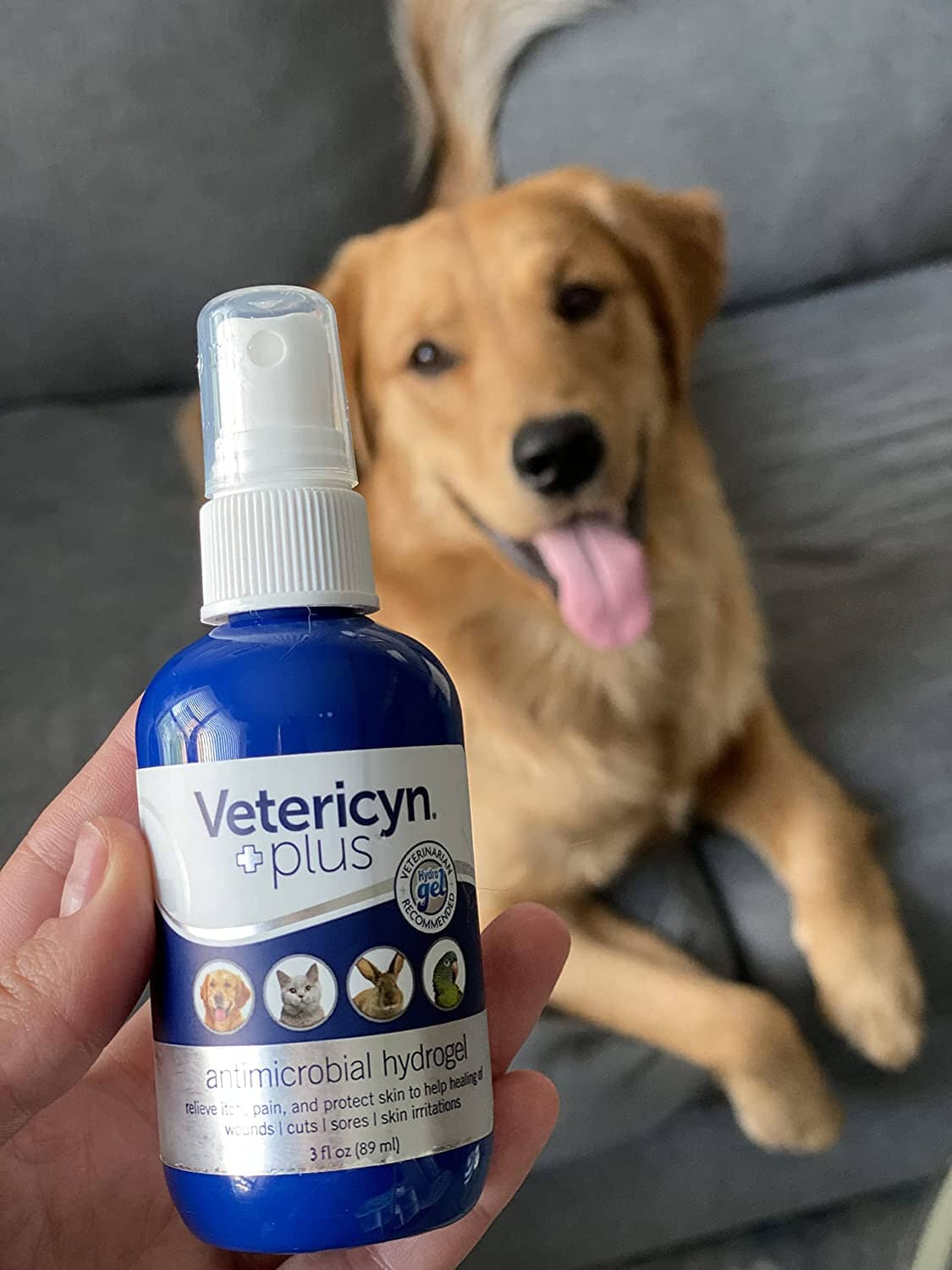 Vetericyn plus for store dogs