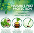 Vet's Best Natural Home Dog Flea and Tick Spray - 32 oz  