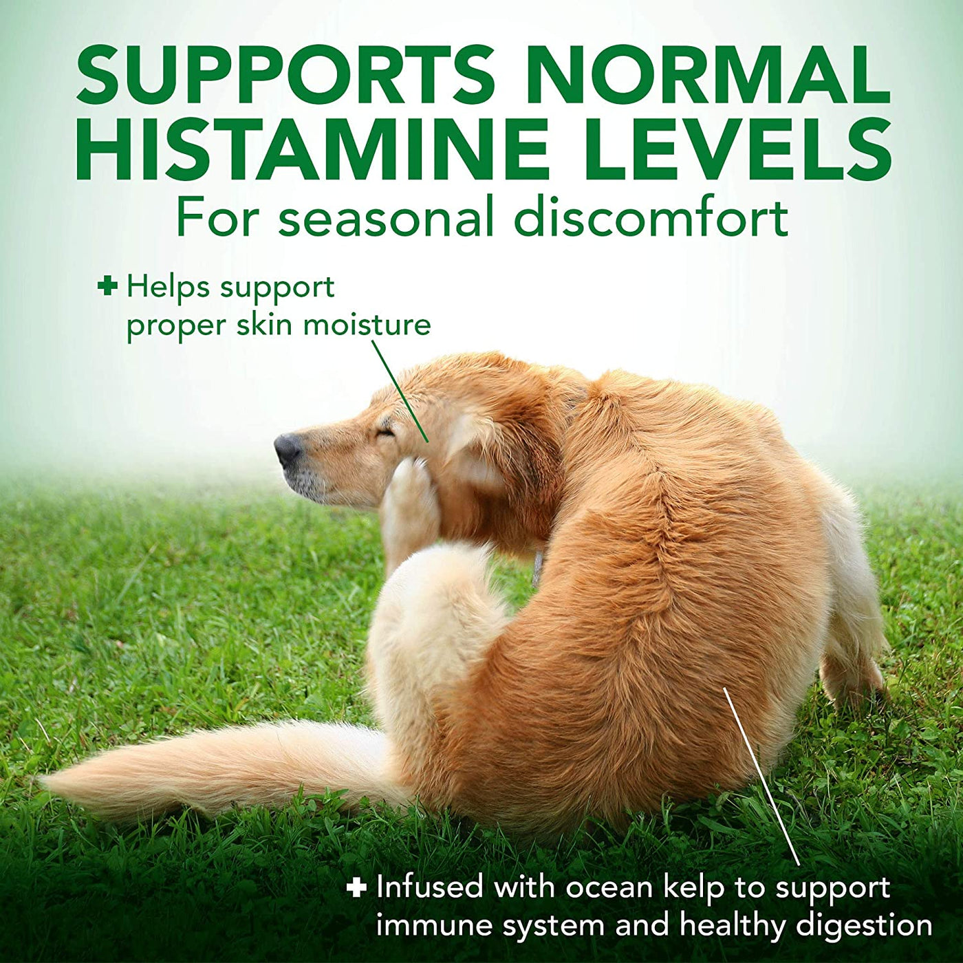 Best supplement for on sale dog skin allergies