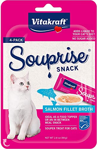 Vitakraft Souprise Snack for Cats - Salmon Fillet Broth - 4 pk