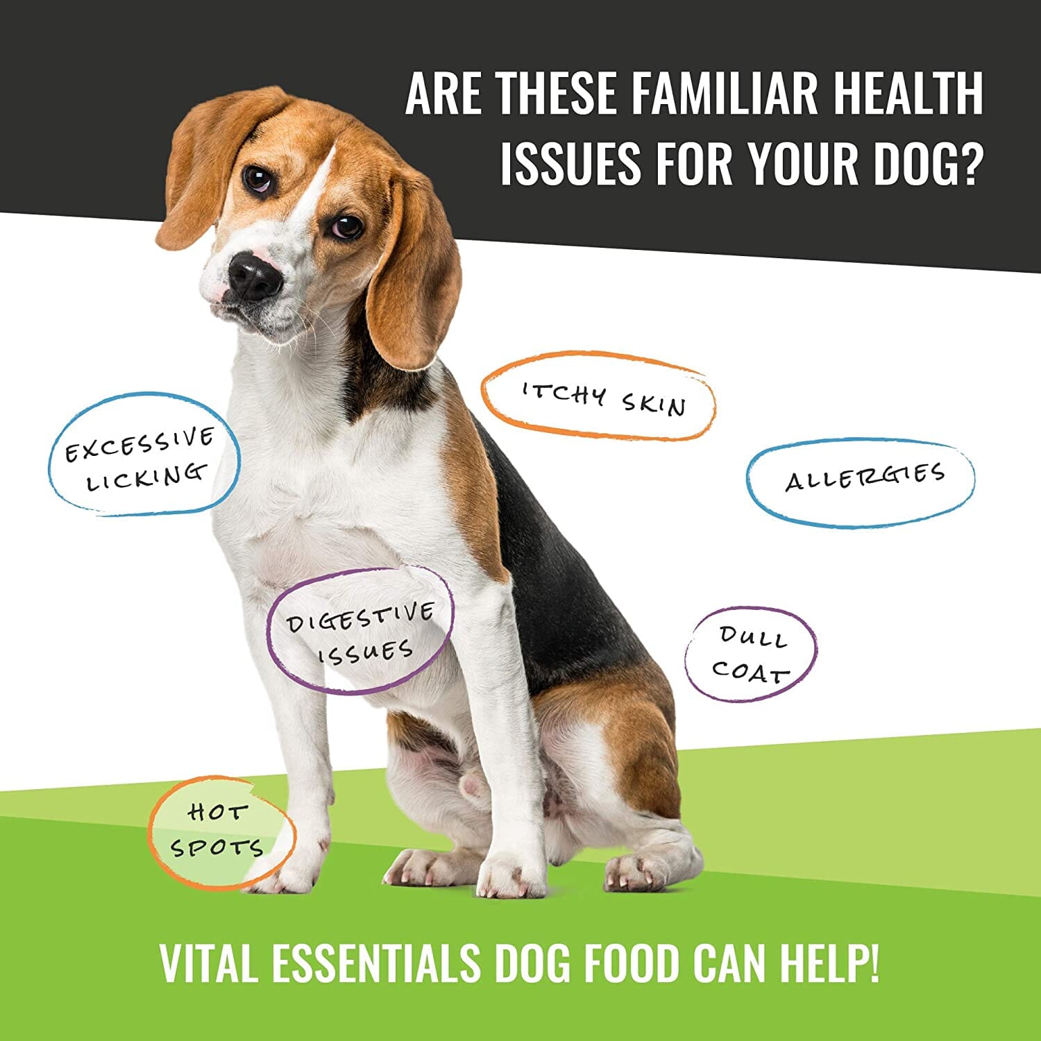 Vital Essentials Chicken Mini Nibs Entrée Freeze-Dried Dog Food - 1 Lb  
