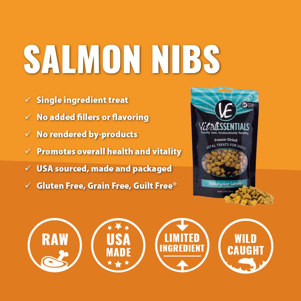 Vital Essentials Freeze Dried Wild Alaskan Salmon Vital Treats for Dogs  