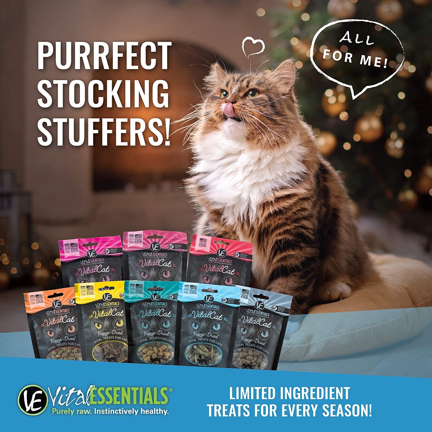 Vital Essentials Minnows Freeze-Dried Cat Treats - 0.5 Oz  