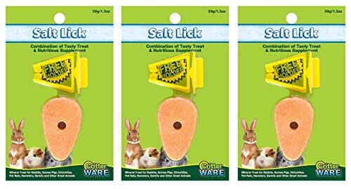Ware Carrot Salt Lick with Holder Small Animal Mineral Treats -