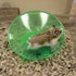 Ware Flying Saucer Toy Small Animal Wheel - Small  