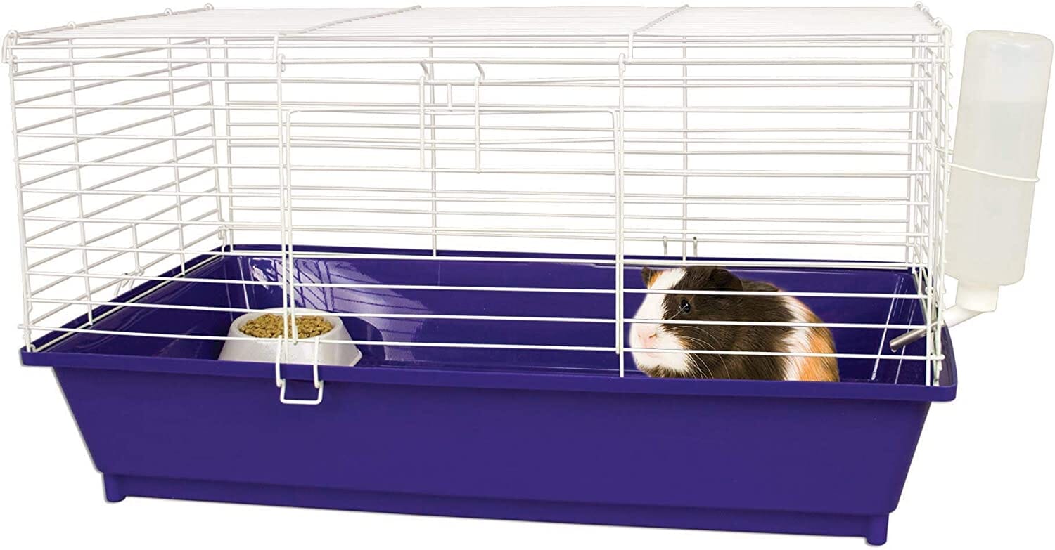 Ware Home Sweet Home Sunseed Small Animal Starter Kit Guinea Pig - Green - 28 X 17 X 15.5 In  